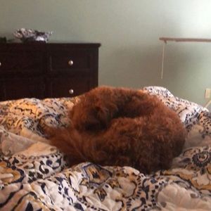 Meet your Posher, Tanya